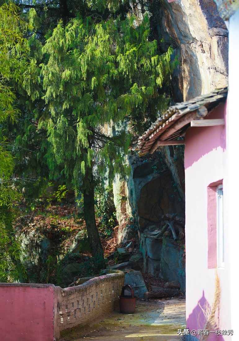 实体店越来越少，直播带货将又一次兴起