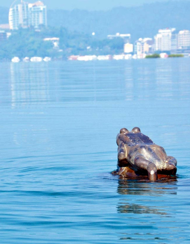 台灣日月潭九蛙疊像：九隻大青蛙齊齊露出水面，究竟是幾個意思？