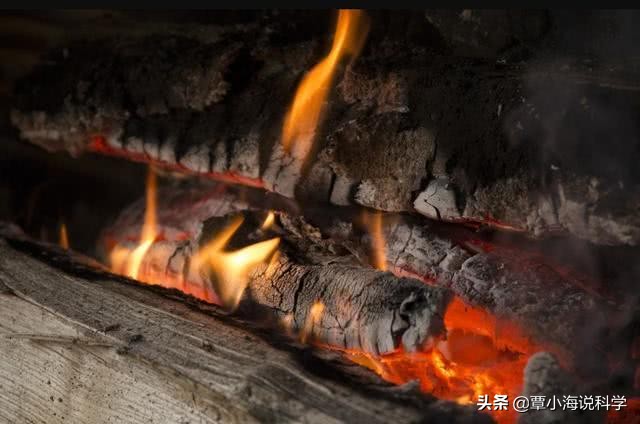 生命都是由原子组成，既然原子可以永生，为什么生命却不行？