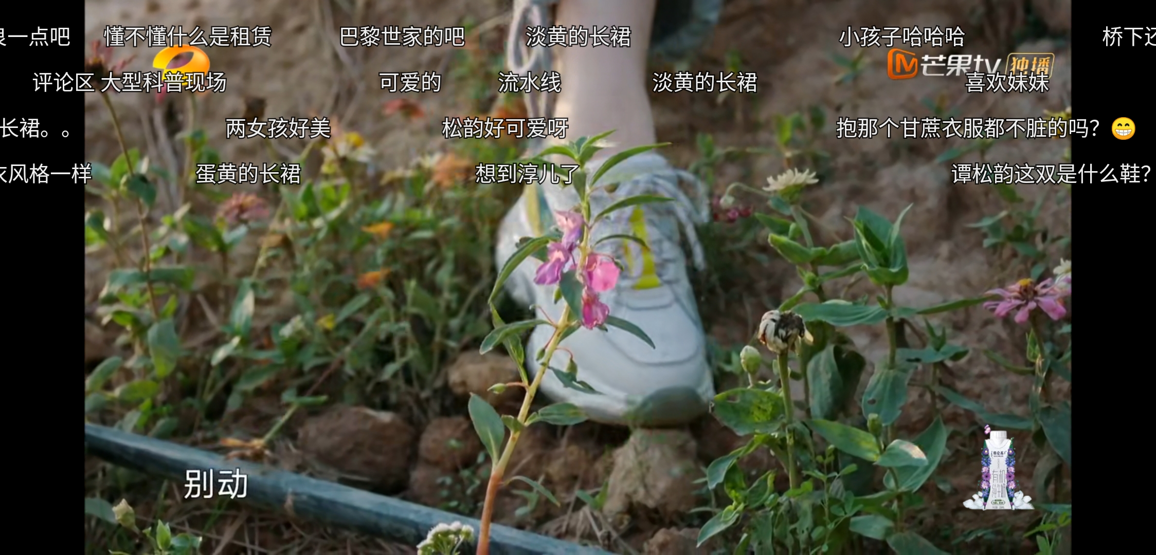 任嘉伦对谭松韵就是不一样，《向往的生活》偷