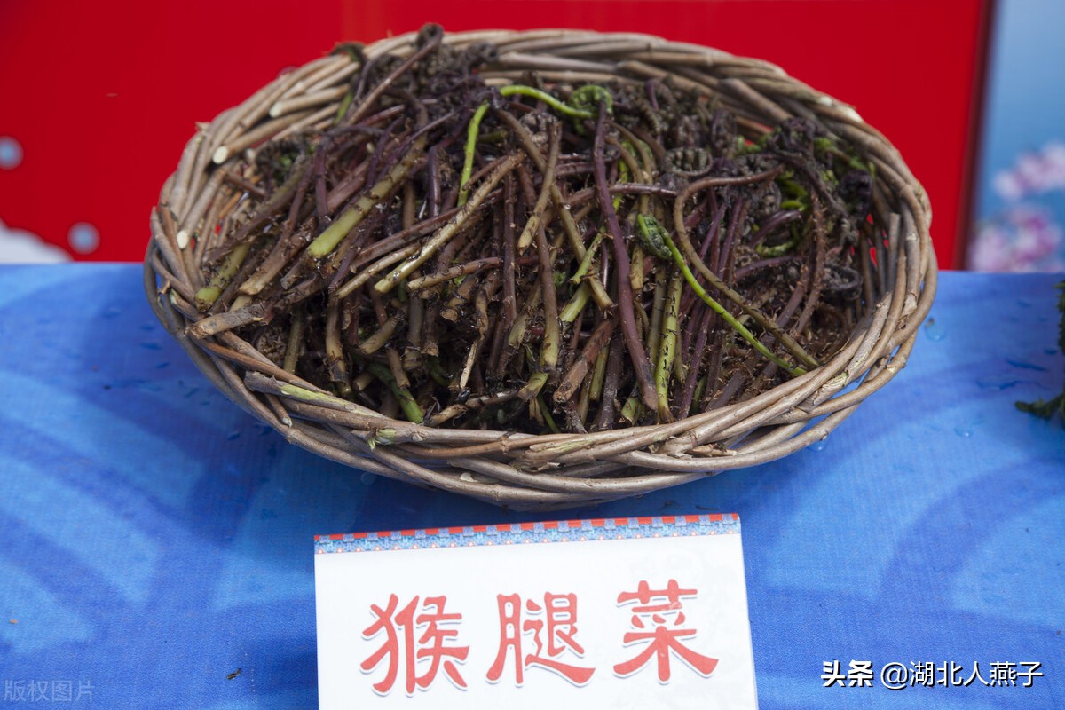 春天挖野菜，送你70种野菜图片大全，教你认识不同的野菜和吃法