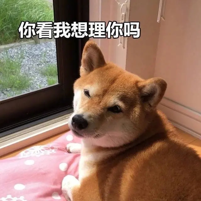 狗狗的6种性格，有没有让你头疼的事？