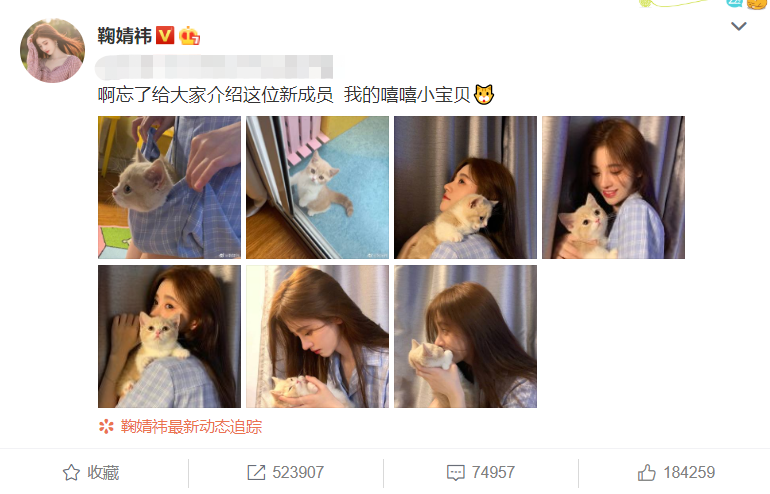 鞠婧祎不理恶评，晒撸猫照介绍新成员，我却只