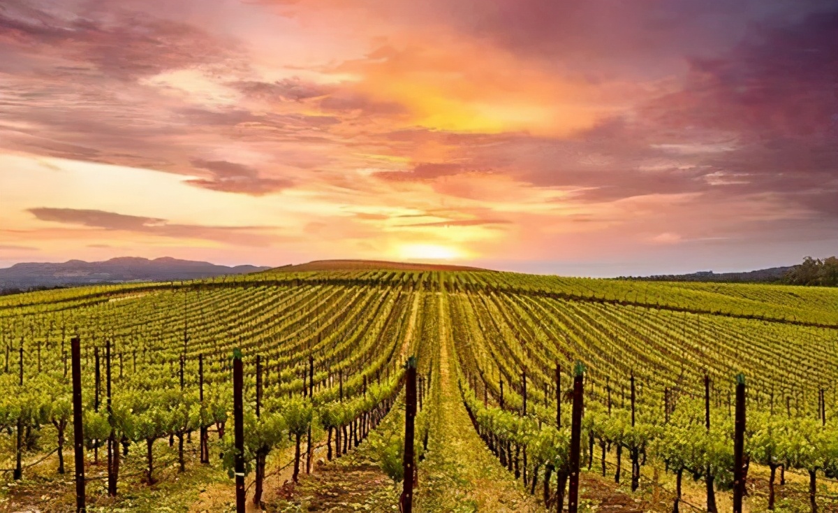 文旅小镇，未来如何突围？