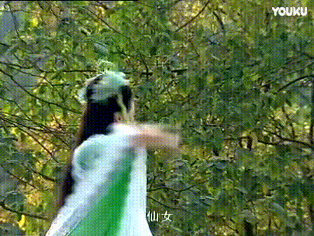 再看《欢天喜地七仙女》才明白董永和鱼日的“