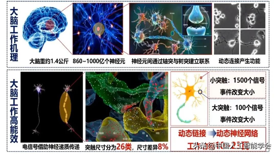 實錄丨戴瓊海：深度學習遭遇瓶頸，全腦觀測啟發下一代AI演算法