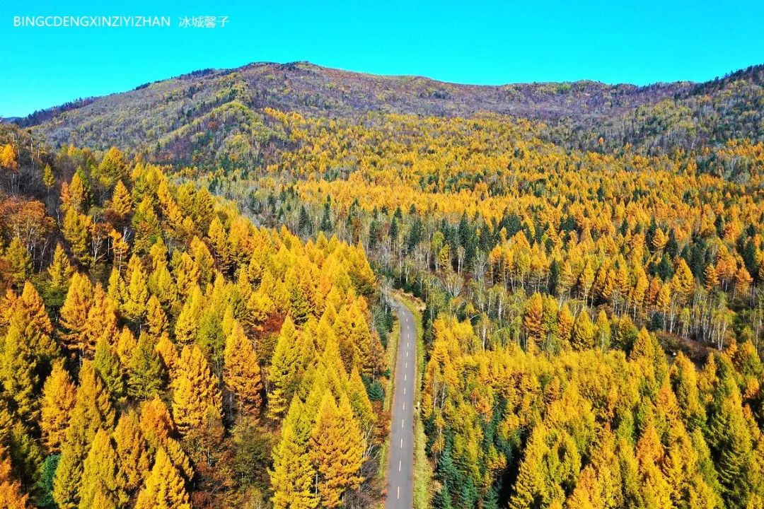 Xuexiang Tianlu, walking through the poetry of autumn leaves dancing with the first snow