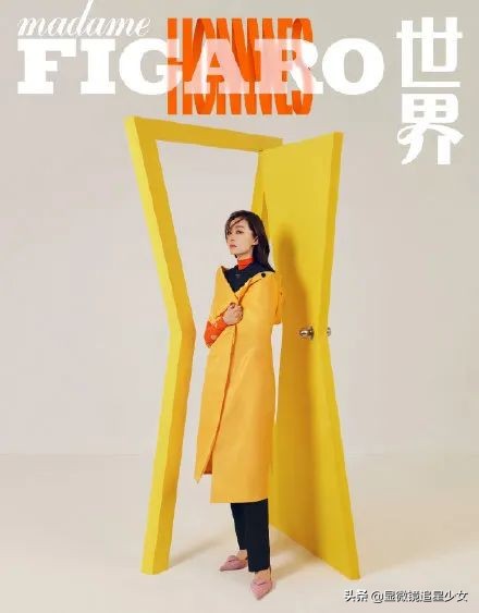 朱一龙夜会贾玲？张小斐翻车？赵丽颖婚变？陈