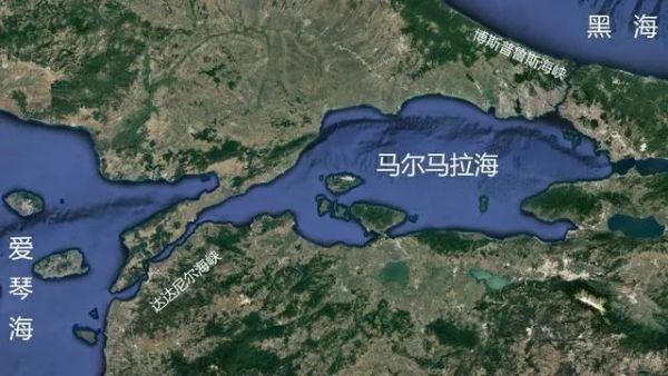 盤(pán)點(diǎn)一下各類(lèi)海洋小知識