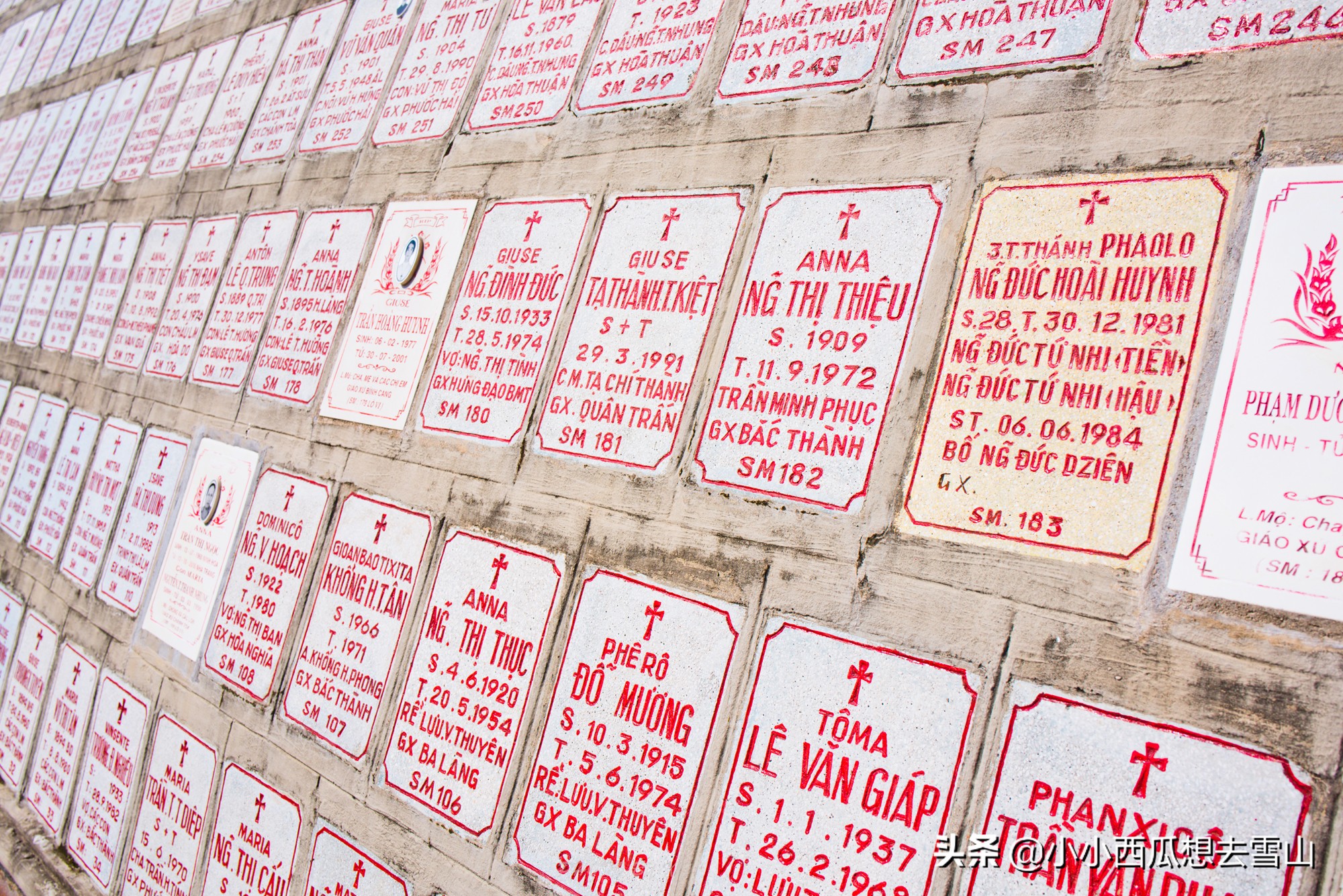 越南芽庄地标性建筑，拥有百年历史、充满法国