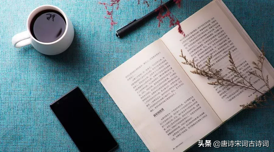 什么是释怀,这是我听过最诗意的回答