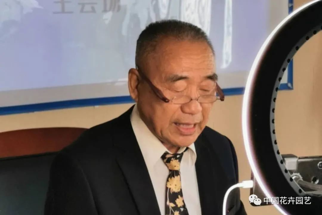中国芳香事业推动者庆祝“世界中医药日”| 动态