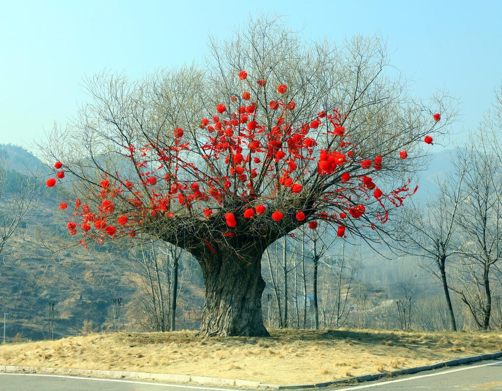 小故事之父母的故事