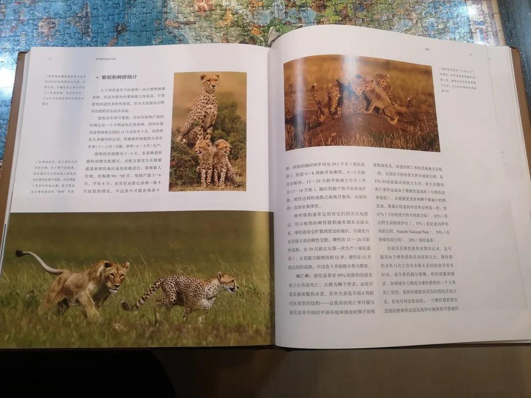 Angela的旅行书单1 | 旅行和阅读，必须有一个在路上