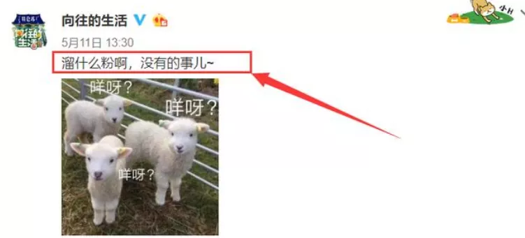 王一博成芒果新寵，新節(jié)目招商都有他，熱門綜藝卻一個沒上過？