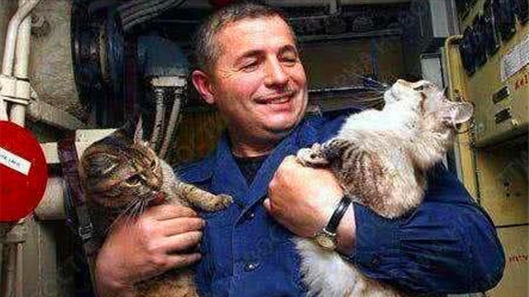 航母上並沒有老鼠，為什麽要養貓？難道貓有什麽“特殊本領”？