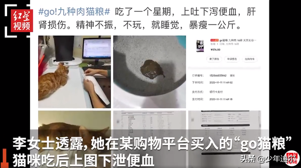 中毒|go猫粮被曝猫吃后中毒甚至死亡 代理商回应已送检