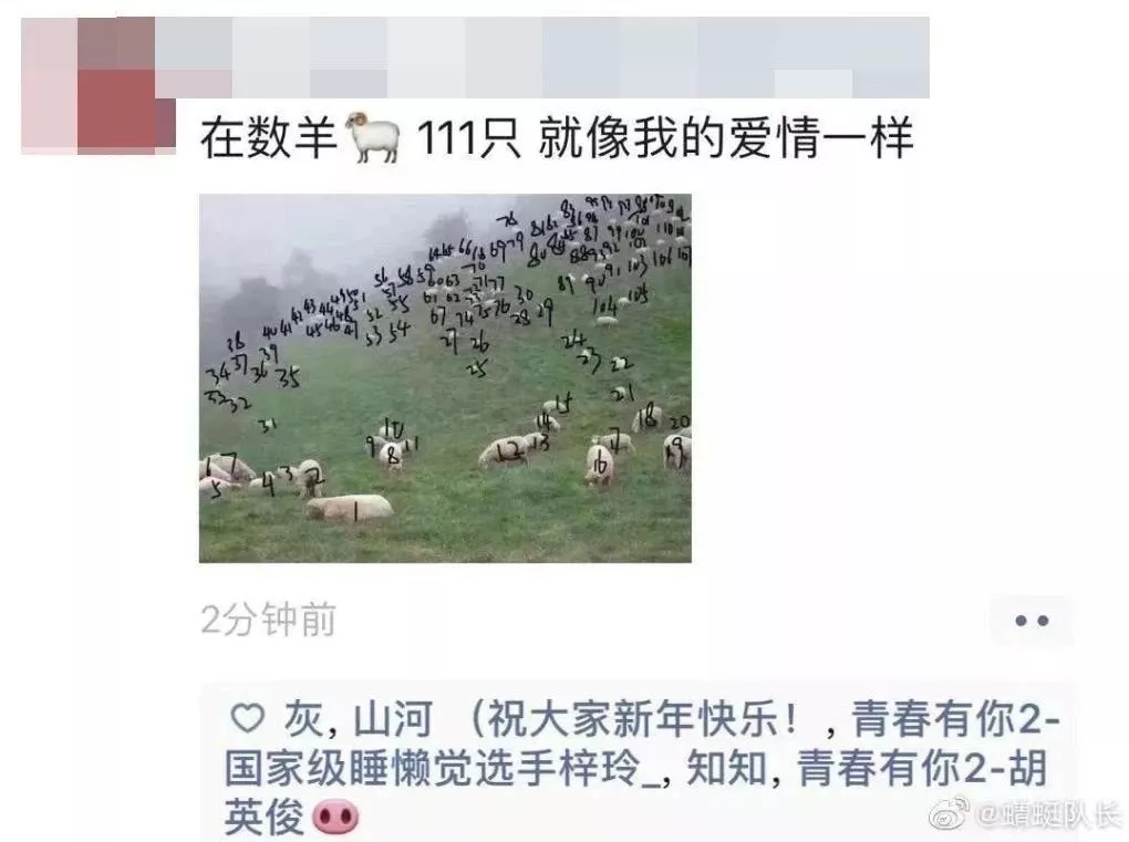 春节宅在家，除了吃喝睡，刷手机，还能干点啥