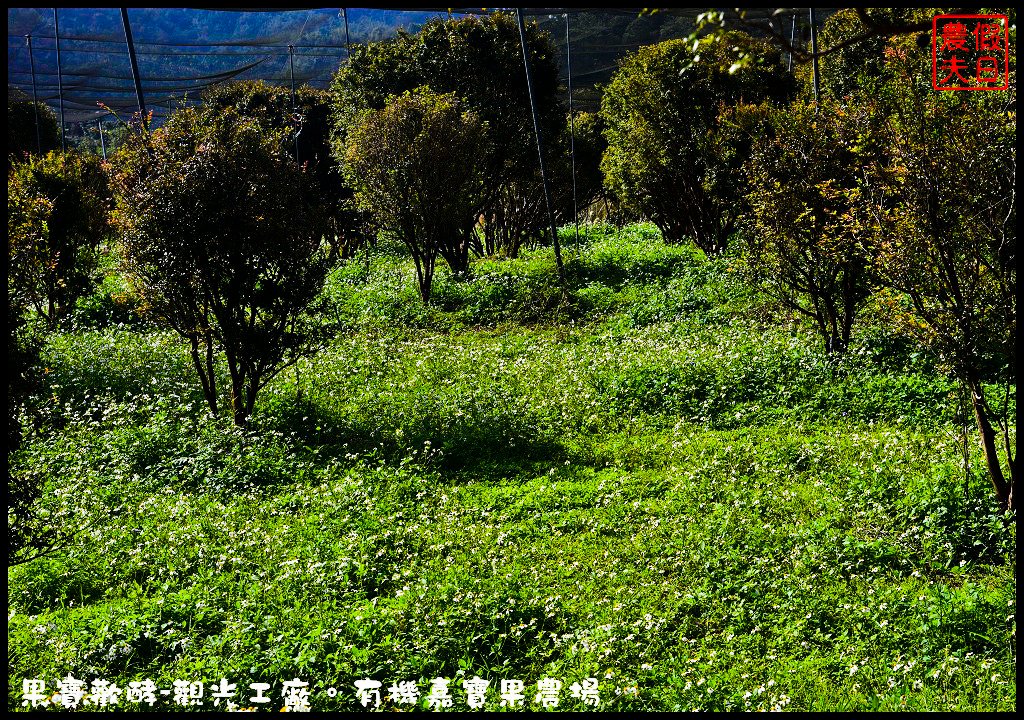 果宝欢酵观光工厂：用丰富体验呈现酵素背后的秘密