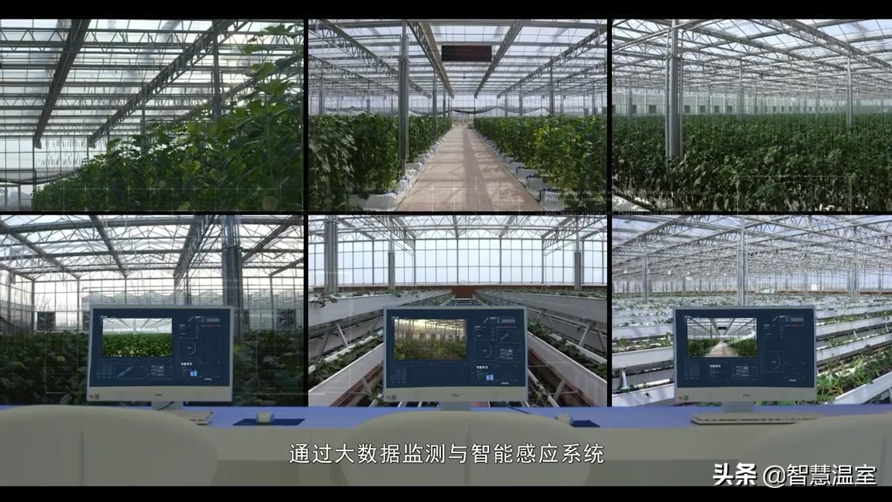 智能温室是怎么突破传统种植模式的？