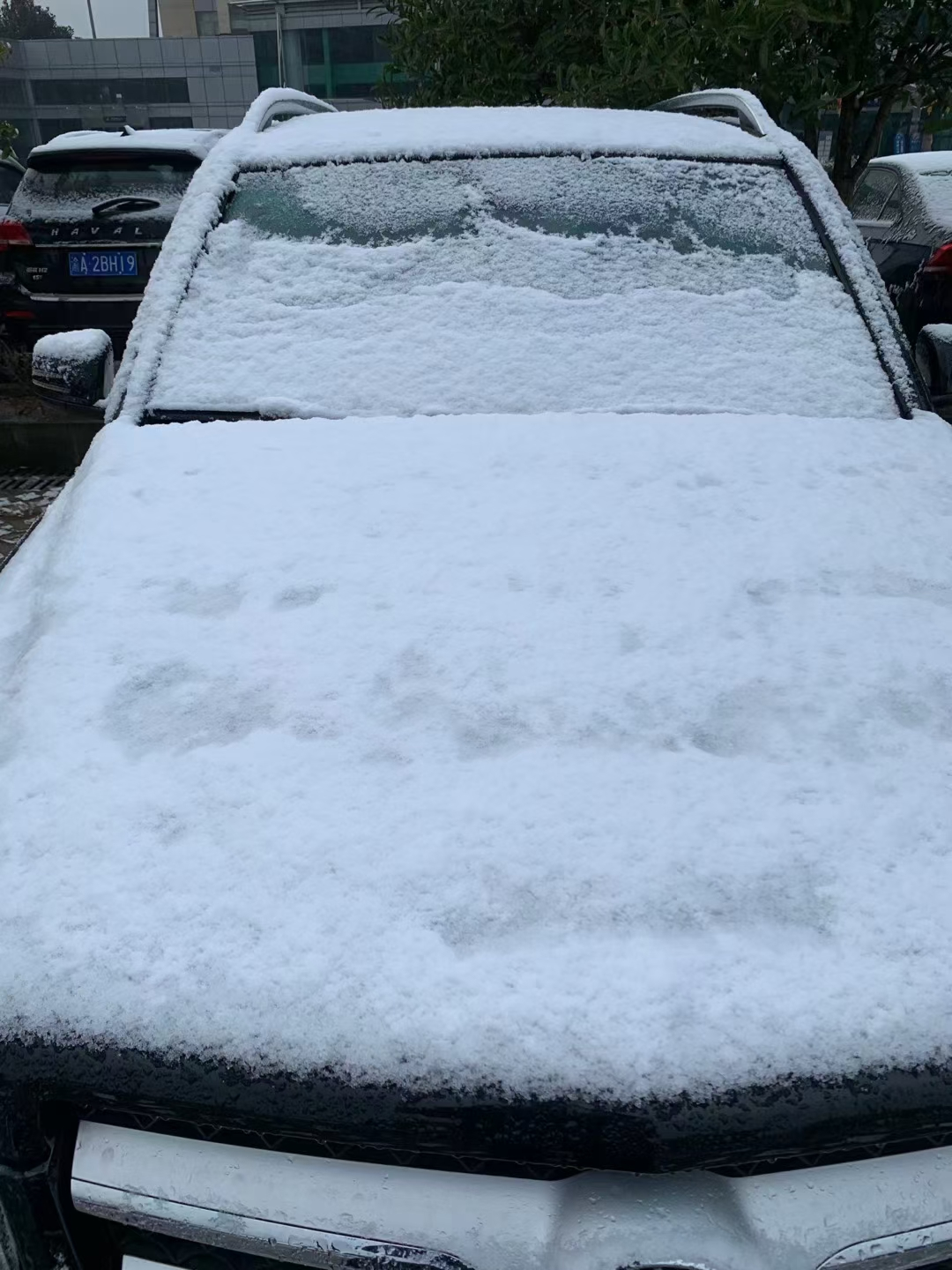 今天，咱们万州下雪啦！不！是垫起了厚厚的白白的雪