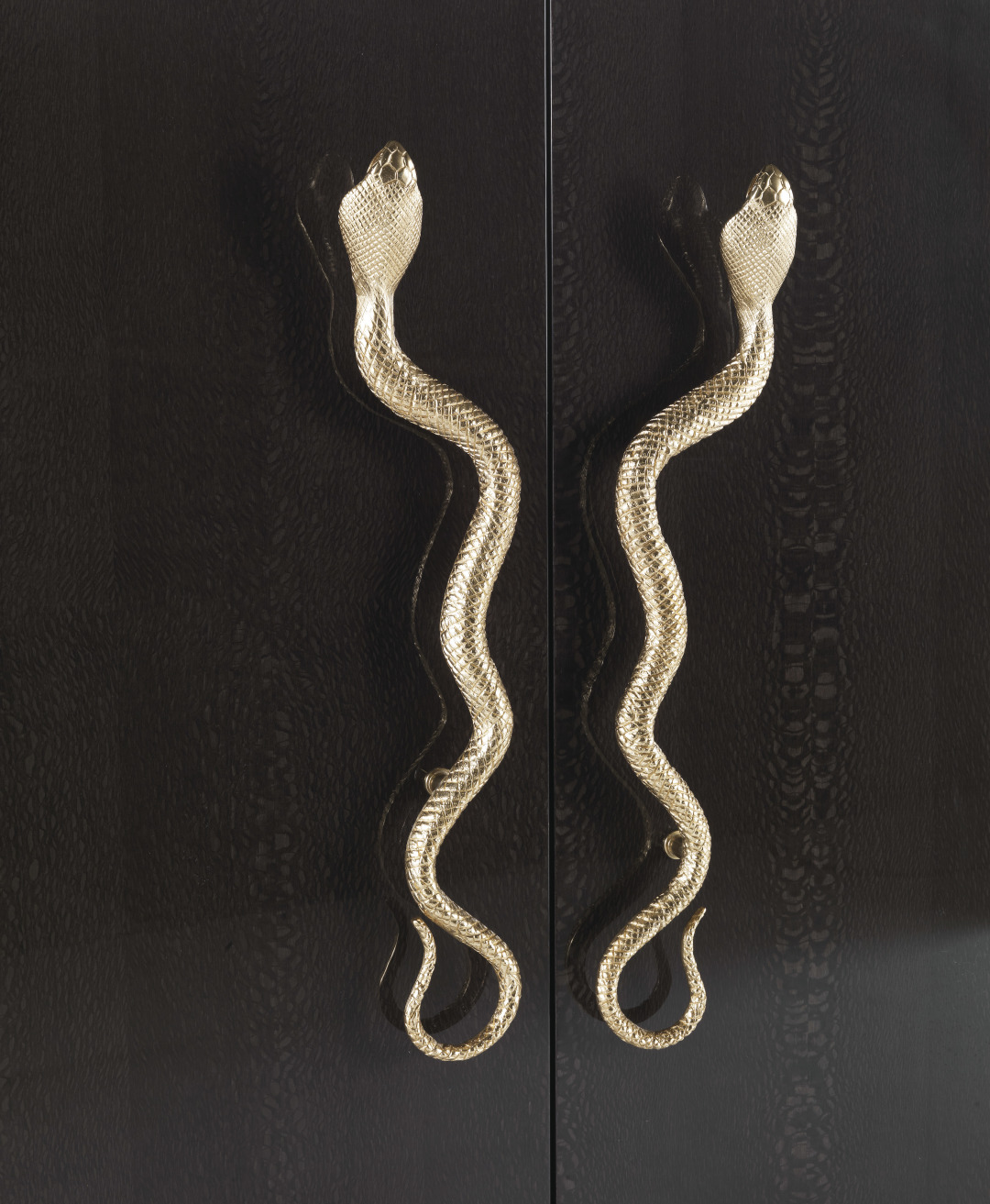 狮子座适合什么品牌、风格的家具？