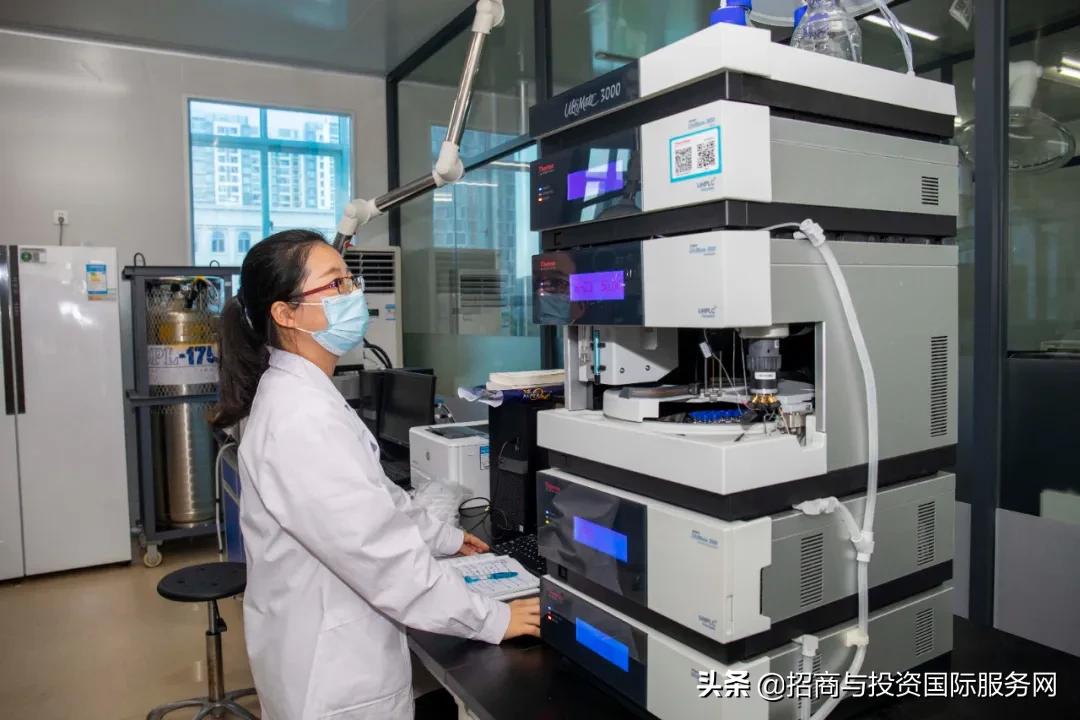 珠海高新区：创新驱动引领区域经济高质量发展