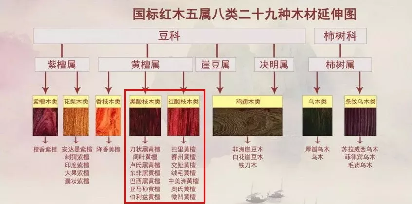 真正的“酸枝木”便是上述14种