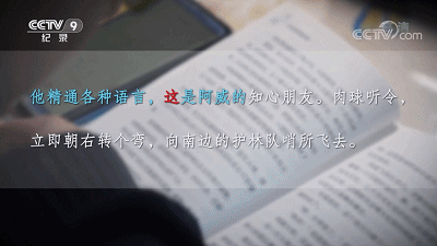 豆瓣9.4，全程揪心，6000万人的噩梦，终于被央视