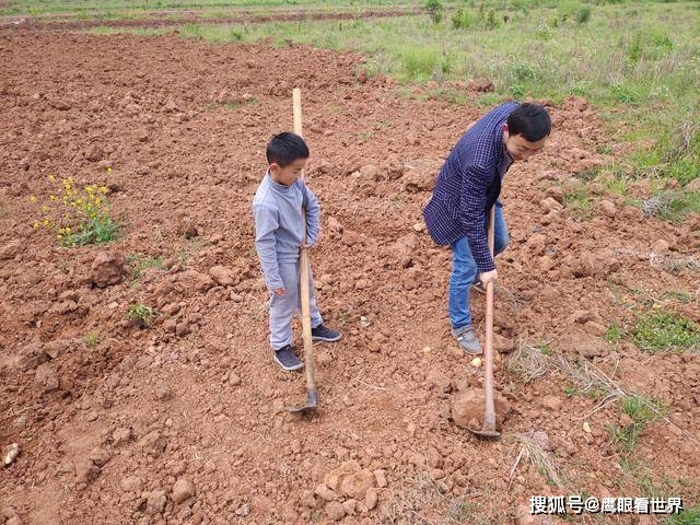 人生感悟：手的“变迁”