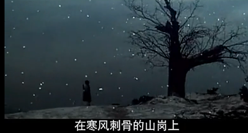 朝鲜电影《卖花姑娘》的故事，金日成编剧，金