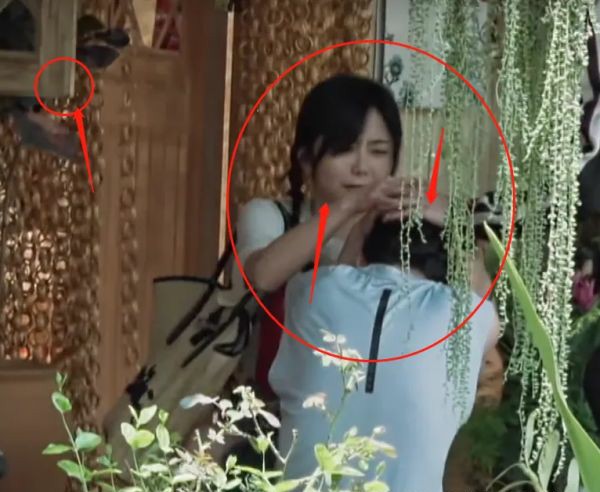 何炅头撞窗角疼到站不起来，谭松韵吓得抱住他