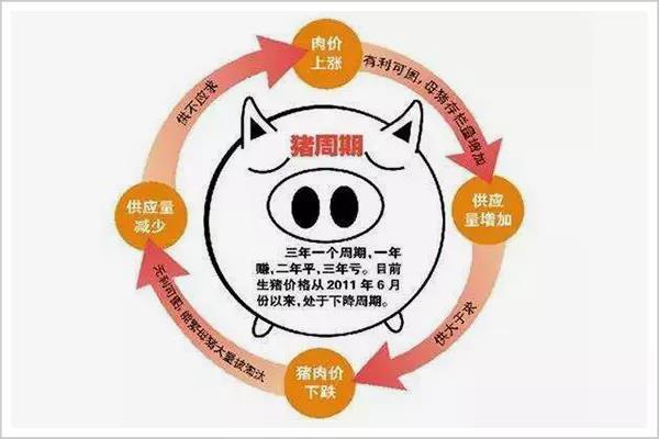 谁偷走了你的“猪肉自由”？