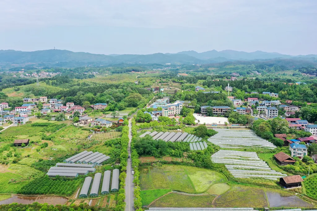 【脱贫攻坚的人大力量】黄秀佳：扎根乡村19年，昔日穷村今朝小康