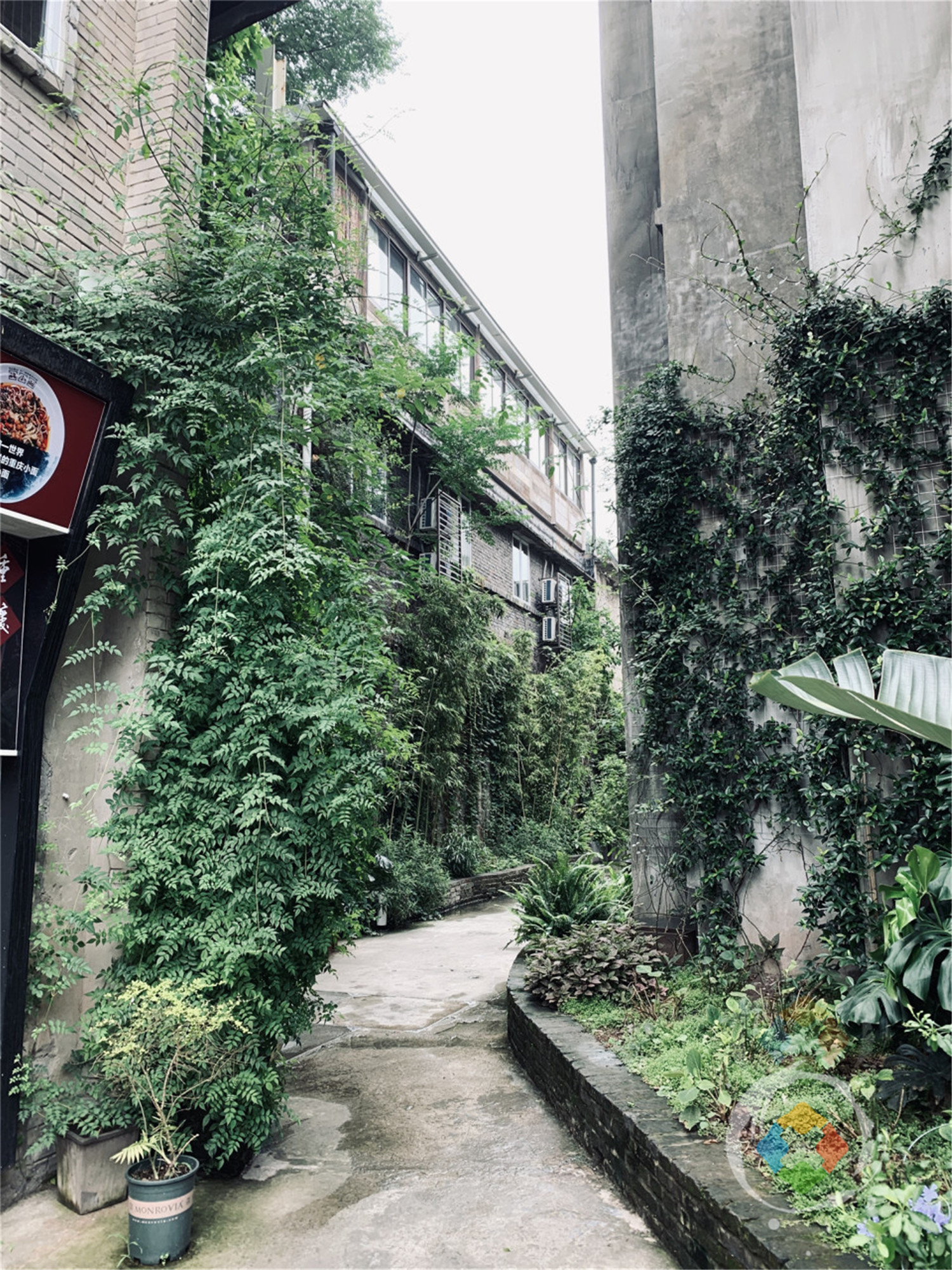 重庆鹅岭二厂：眺望山城风景的绝佳之地，前身是民国印钞厂