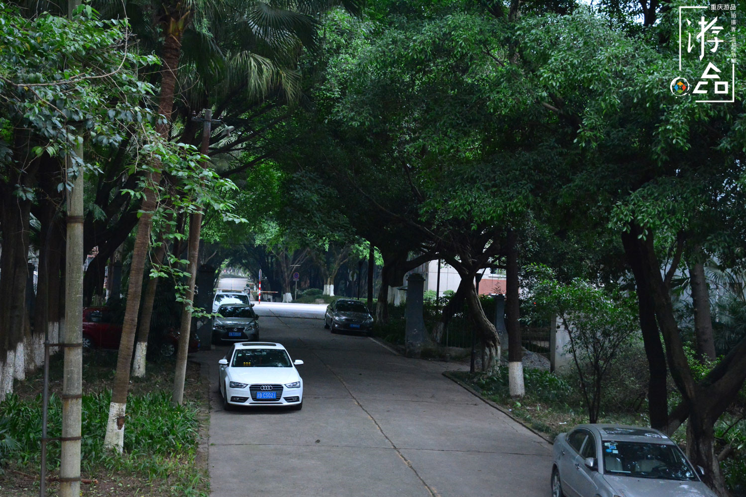 渝中与九龙坡的交界，5号线贯通后，会给歇台子带来新生吗？