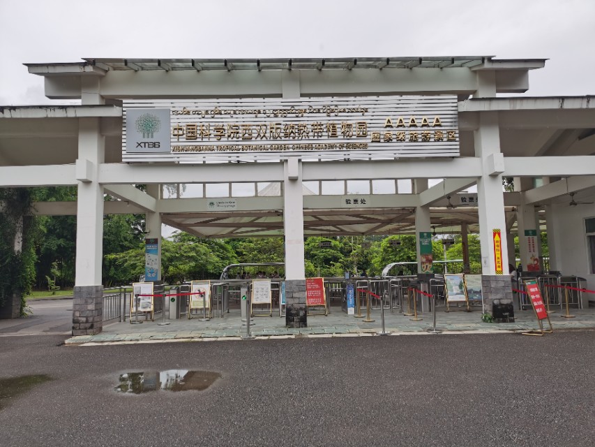 【跋涉边境亲吻祖国】25、走进中国面积最大的西双版纳植物园