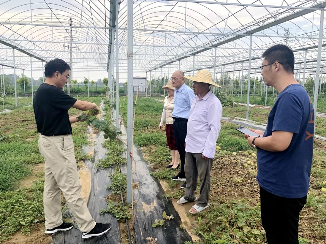 农民日报 | 因地制宜发展特色产业走稳致富路 —山东临沂市驻罗庄区乡村振兴服务2队助力帮扶村发展