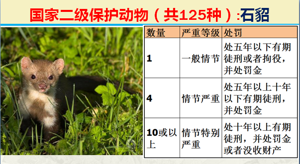 国家最新125类二级野生保护名录，图片及违法对应刑责