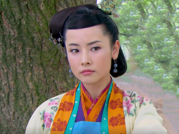 神雕后传：杨过去世，小龙女为杨过生下一子，指点武功为杨过报仇