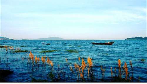 老爷庙水域探秘：解锁东方百慕大，庐山充当了罪魁祸首