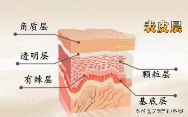 农乐生物 安瓶、原液、肌底液、精华液有什么不同?