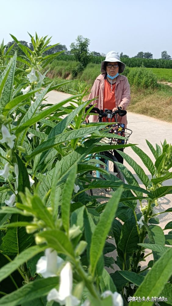 我很头疼，我爱人不支持我搞自媒体。大家参谋参谋，我该怎么办？