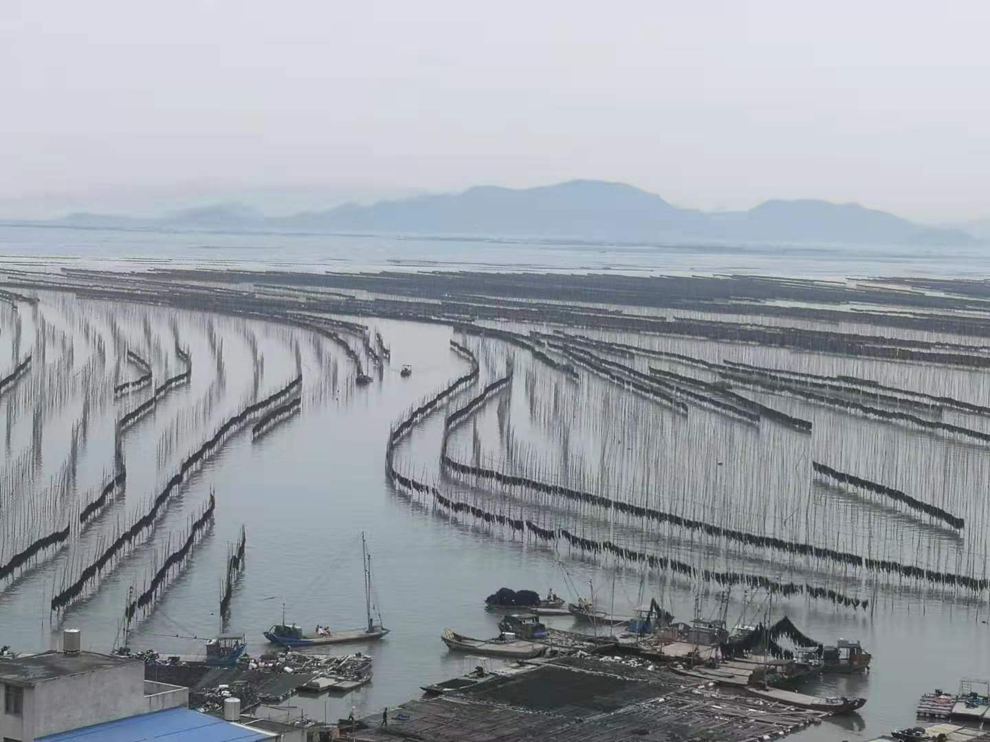 我们的霞浦路线图：光影栈道、东壁、杨家溪、赤溪、S弯、下尾岛