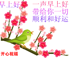 十一|今天正月十一一心一意的祝福 送给群里每一位朋友打开看看吧