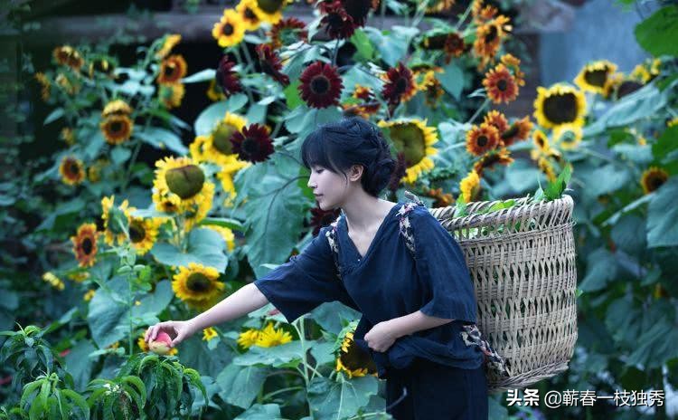 居然为了一句话，一位诗人想为李子柒裸奔