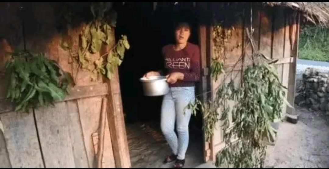 为啥挂树枝的老挝人家不能进？当地人：进去了