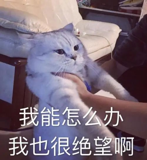 春药？毒药？迷奸药？一文破除「伟哥」类药物的各种谣言
