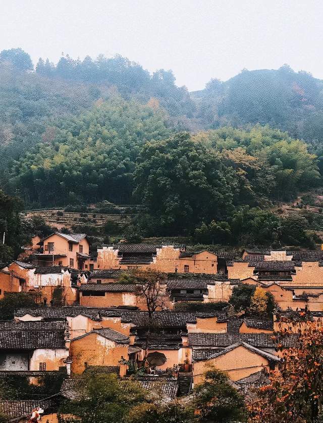 江浙沪这几个神仙旅游地火了，自驾1小时且高铁直达，周末就能去