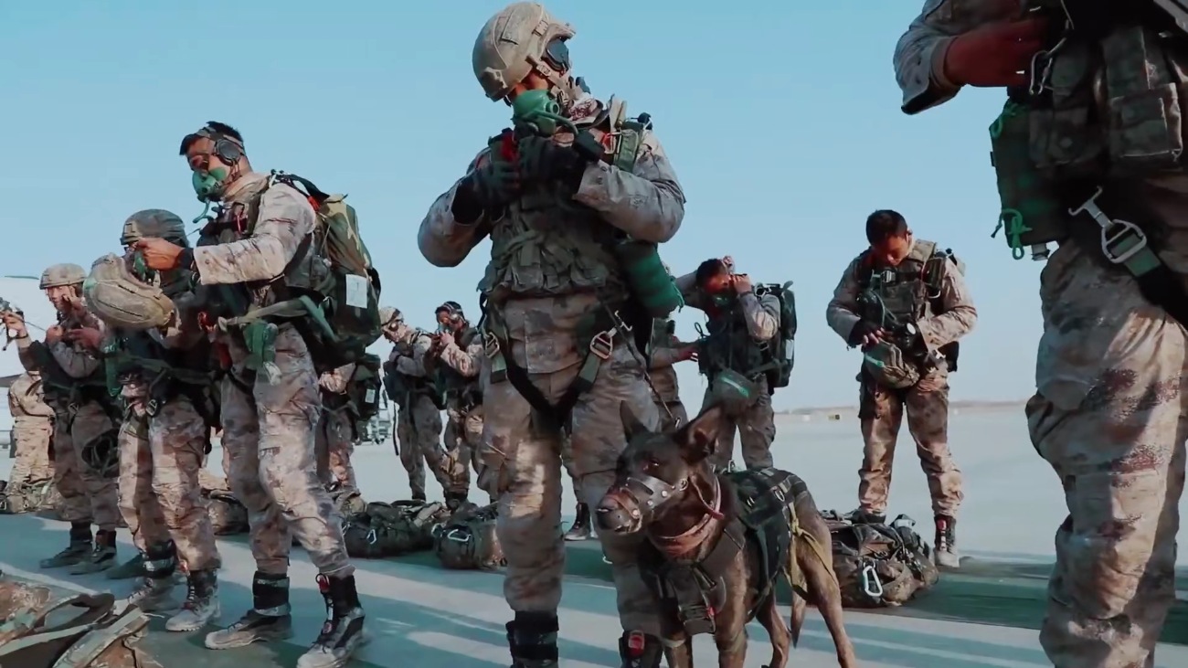 �������������й�����ʵ�֣�����Ľ�ž���ʽ����������װ���嵥